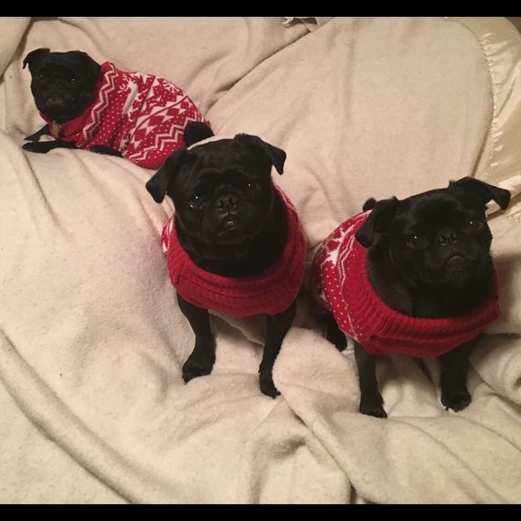 Meet your Posher, Brenda - Picture 3 of 4